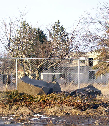 Rocks from my childhood.